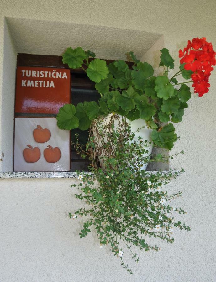 Zidanica Krstinc Villa Straza Exterior foto